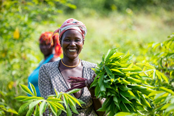 Ramata Kamara from Sierra Leone, Africa smiles while harvesting cassava leaves